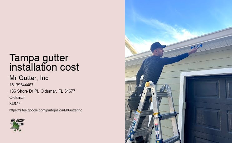 Affordable gutter replacement Tampa gutter installation cost
