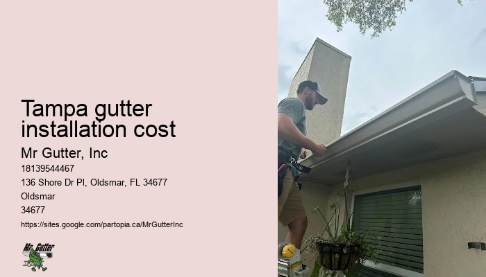 Leaf guard gutter installation Tampa gutter installation cost