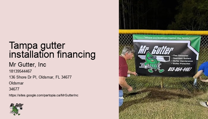 Professional Gutter Installers Tampa gutter installation financing