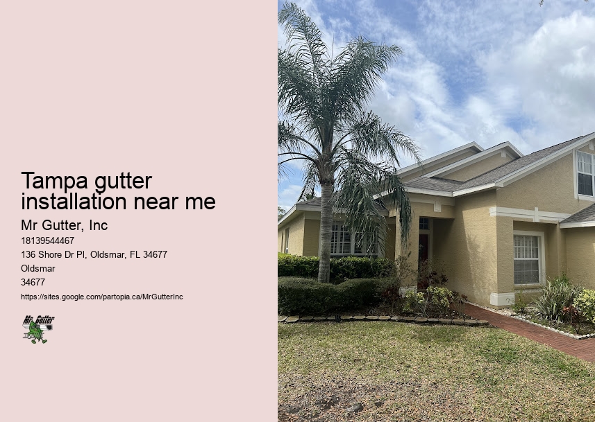Gutter downspout installation Tampa gutter installation near me