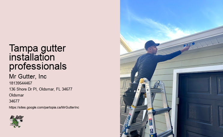 Modern gutter installation Tampa gutter installation professionals