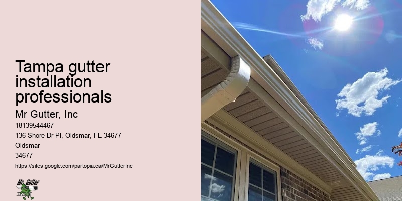 Gutter installation for historic homes Tampa gutter installation professionals