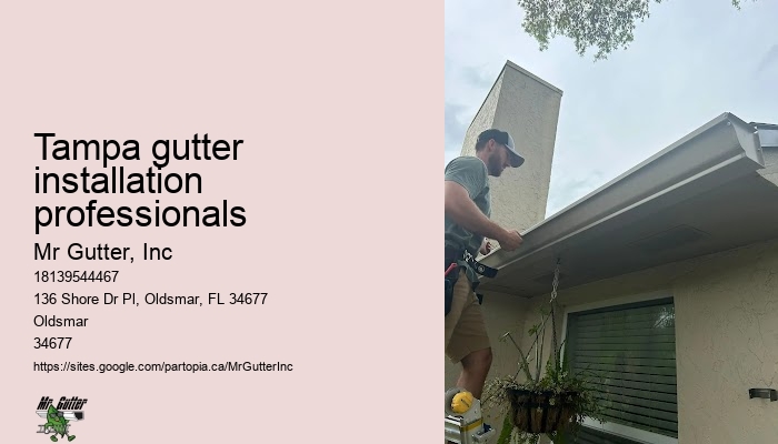 Gutter installation for condos Tampa gutter installation professionals