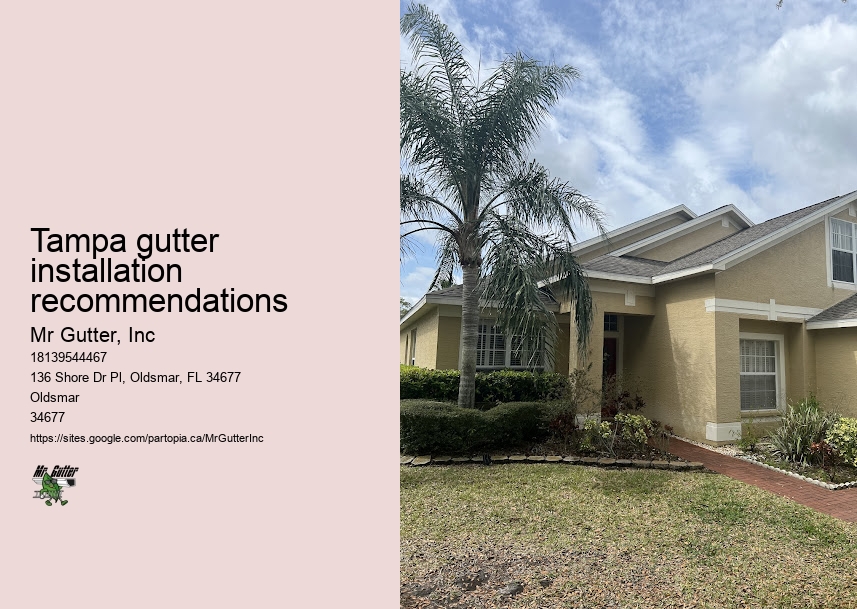Long-lasting gutter installation Tampa gutter installation recommendations