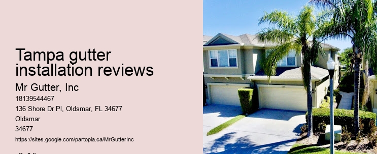 Same-day gutter repair Tampa gutter installation reviews