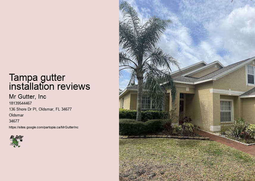 Reliable gutter repair Tampa gutter installation reviews