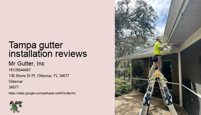 Top-rated gutter repair Tampa gutter installation reviews