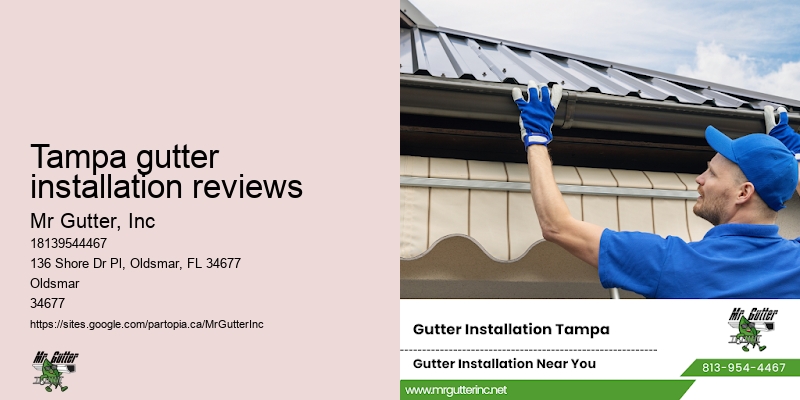 Gutter maintenance contractors Tampa gutter installation reviews