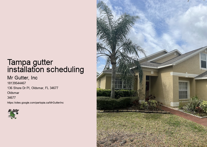Tampa gutter installation scheduling Gutter Downspout Installation