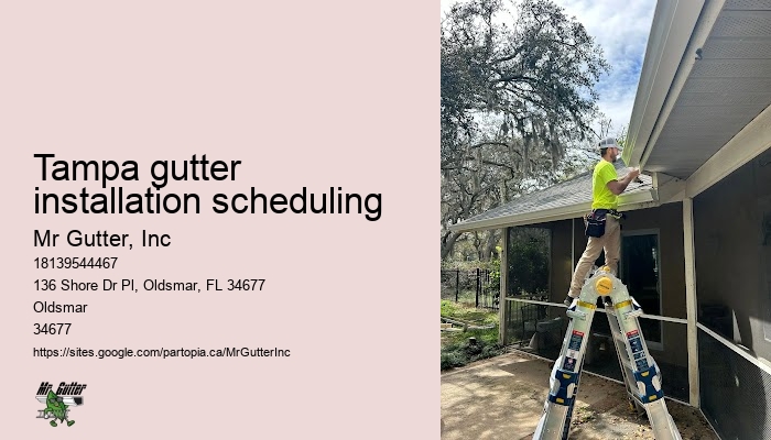 Leaf Guard Gutter Tampa gutter installation scheduling FL