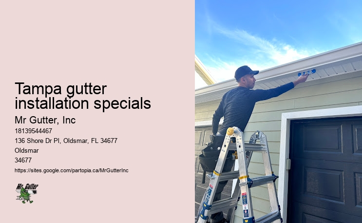 Tampa gutter installation specials seamless gutter installers