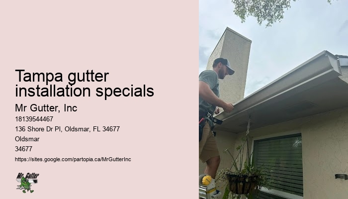 Best rain gutter installation Tampa gutter installation specials