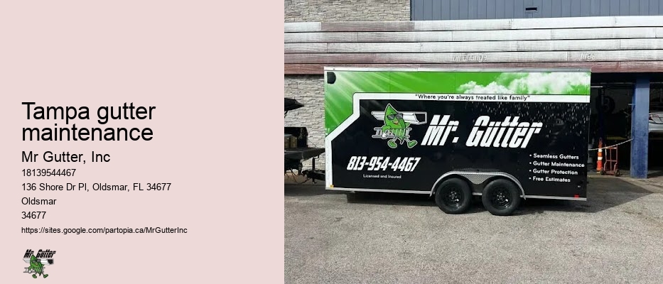 Tampa gutter maintenance