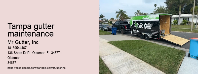 Reliable gutter services Tampa gutter maintenance