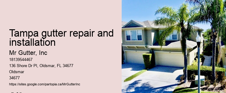 Tampa gutter repair and installation custom gutter solutions