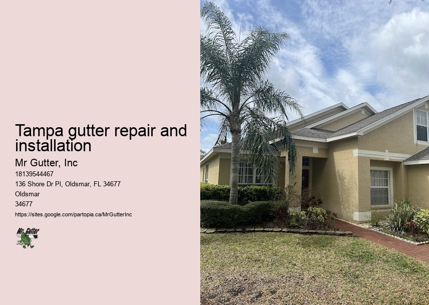 Top gutter maintenance Tampa gutter repair and installation