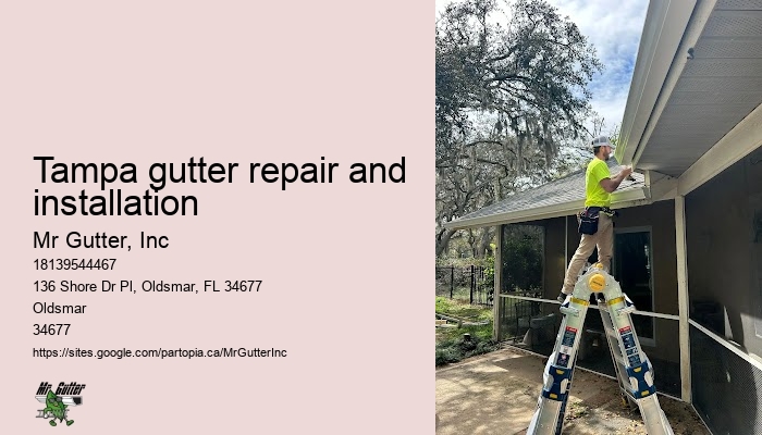 Gutter services near me Tampa gutter repair and installation