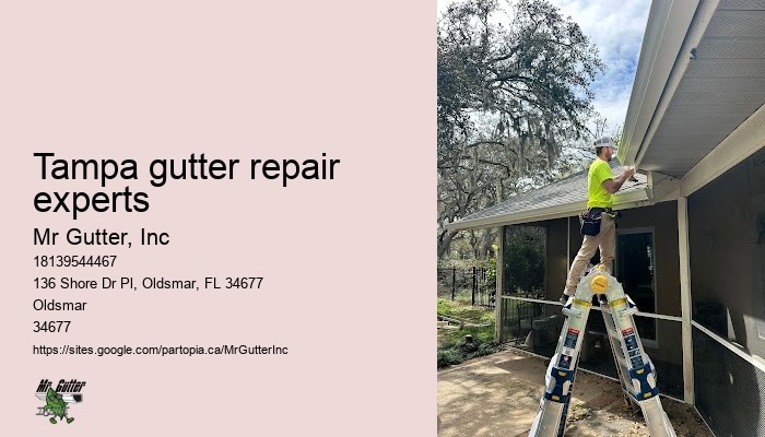 Tampa gutter repair experts gutter protection installation