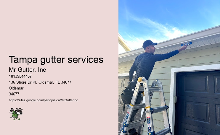 Gutter installation estimates Tampa gutter services