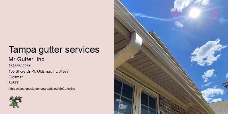 Tampa gutter services gutter installation specials