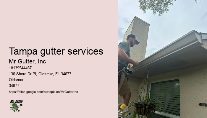 Gutter installation for homes Tampa gutter services