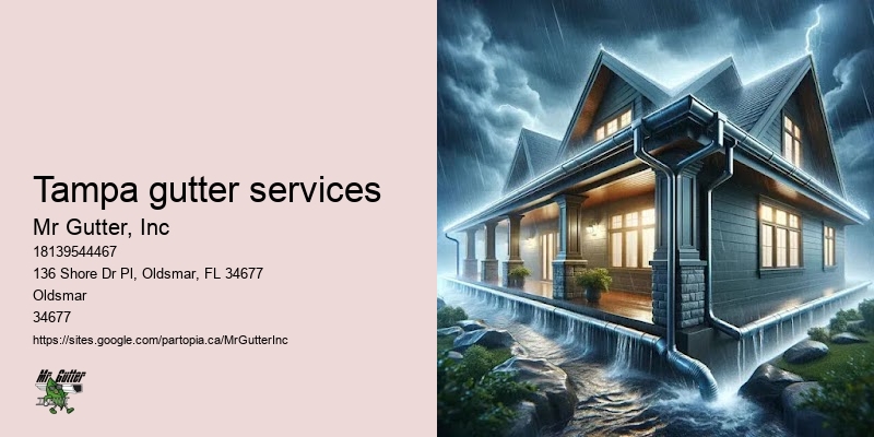 Tampa gutter services gutter installation near me
