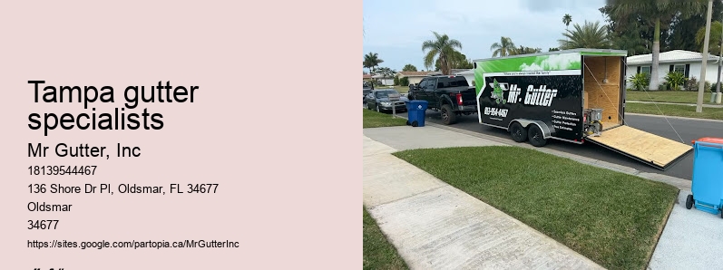 Local seamless gutter installation Tampa gutter specialists