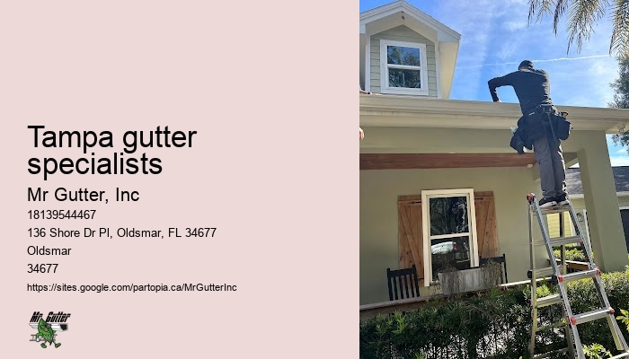 Tampa gutter specialists seamless gutter cost