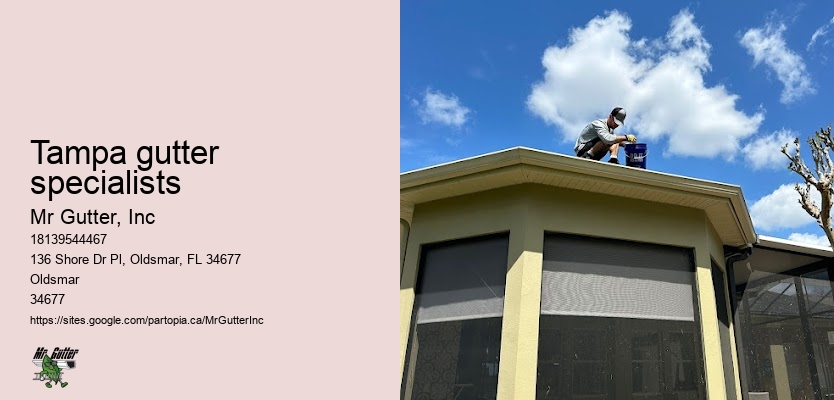 Tampa gutter specialists gutter installation guide