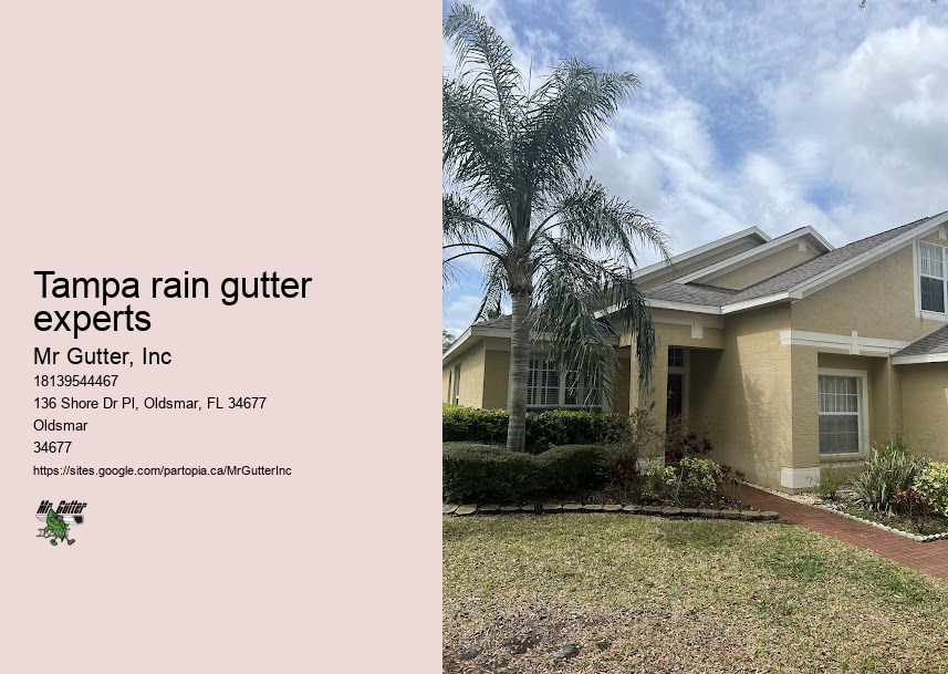 Local gutter repair Tampa rain gutter experts