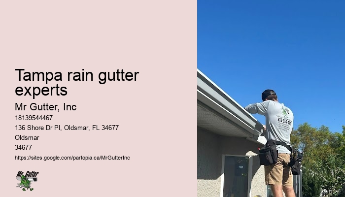 Tampa rain gutter experts gutter repair near me