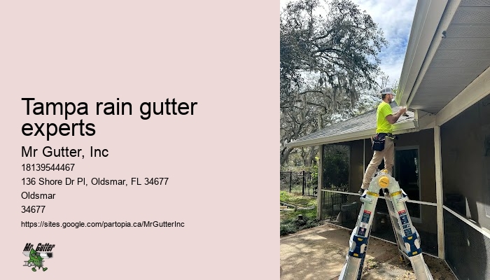 Top-rated gutter replacement Tampa rain gutter experts