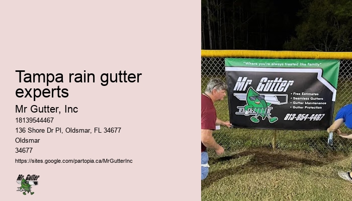 Gutter system design Tampa rain gutter experts