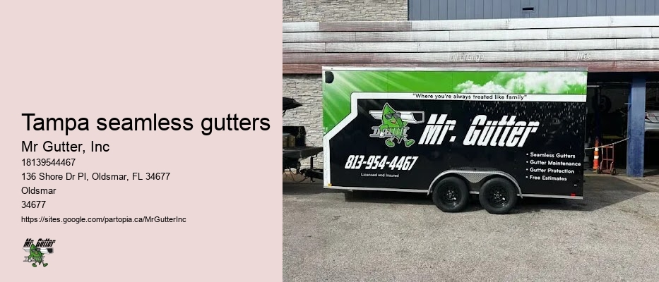Tampa seamless gutters