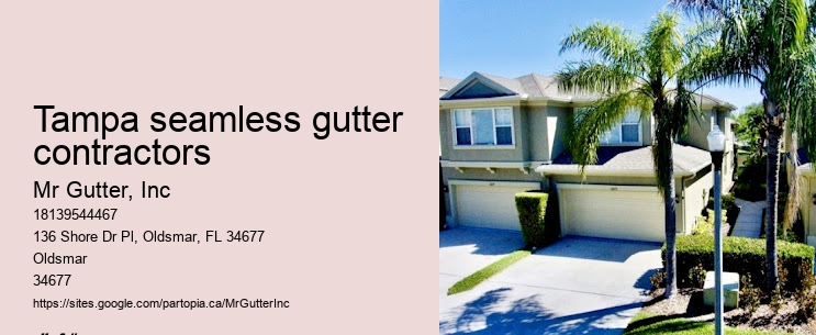 Steel gutter installation Tampa seamless gutter contractors