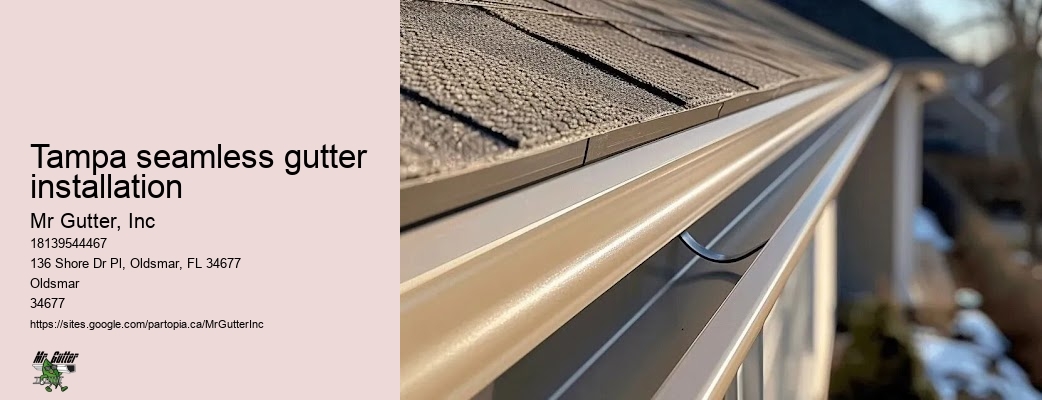 Tampa seamless gutter installation gutter system replacement