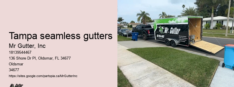 Expert gutter installation Tampa seamless gutters