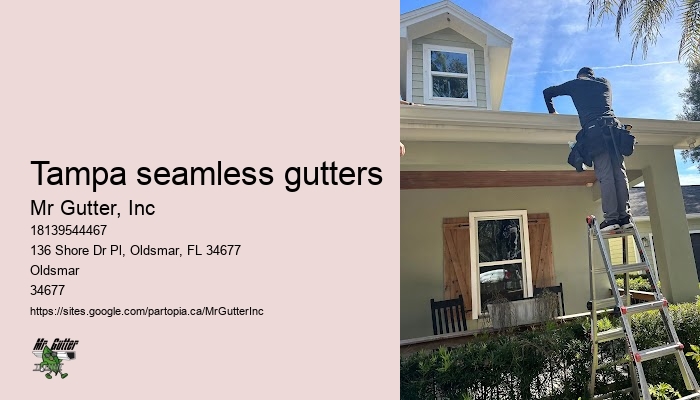 Tampa seamless gutters gutter installation experts