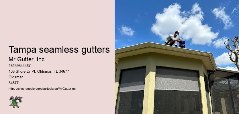 Local gutter installation Tampa seamless gutters
