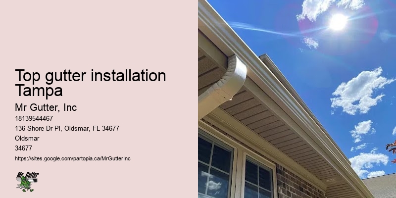 Top gutter installation Tampa gutter maintenance tips