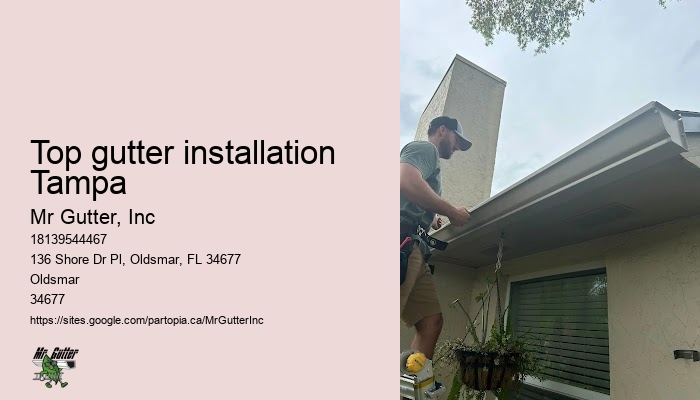 Gutter installation companies Top gutter installation Tampa