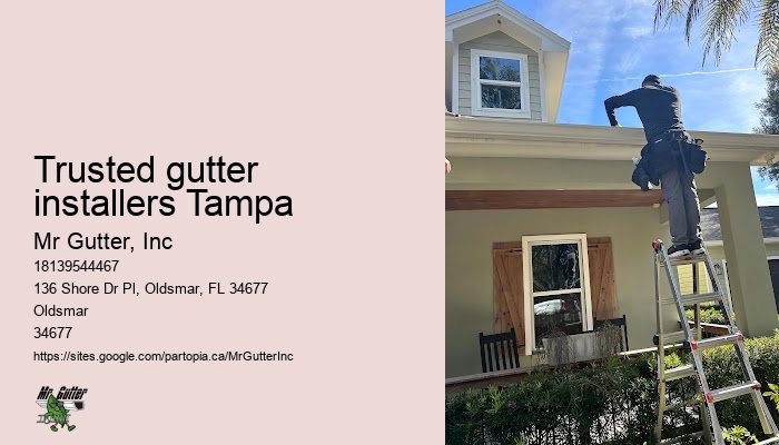 Gutter installation solutions Trusted gutter installers Tampa