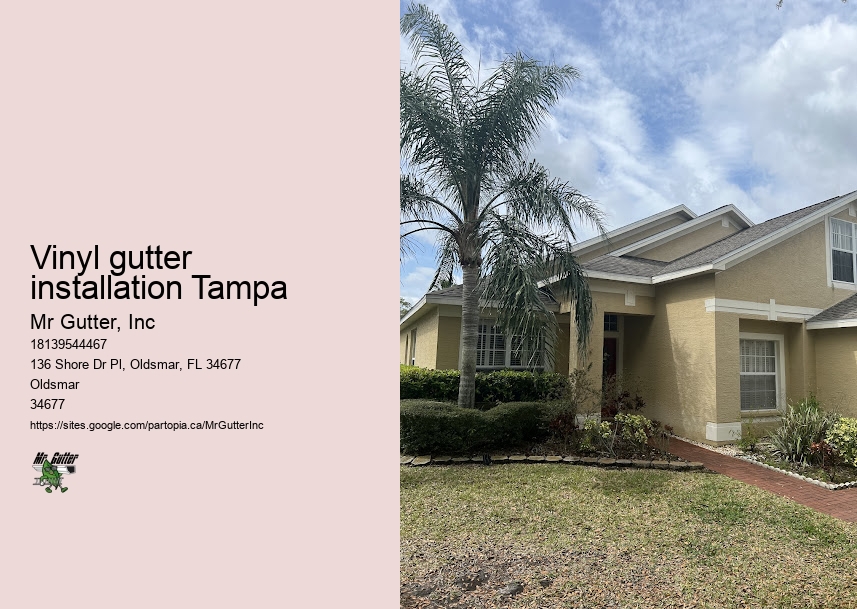 Custom gutter designs Vinyl gutter installation Tampa