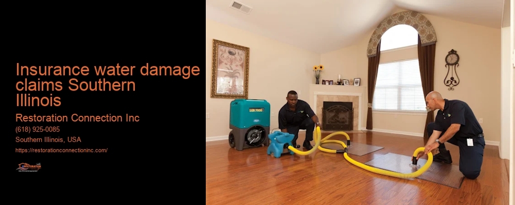 insurance water damage claims Southern Illinois