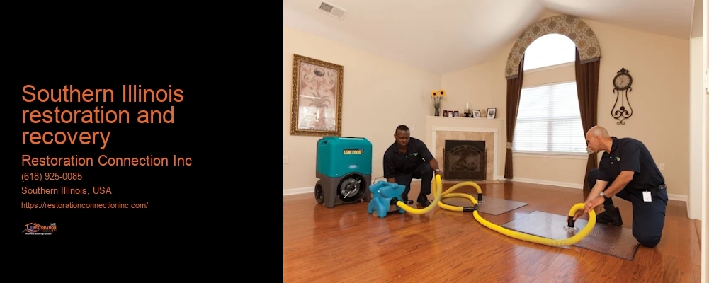 Southern Illinois restoration and recovery