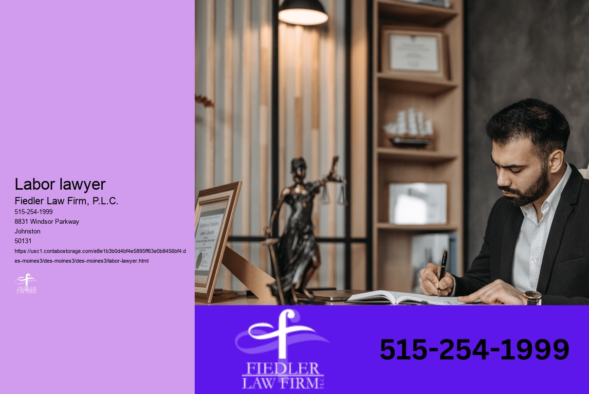 Labor lawyer