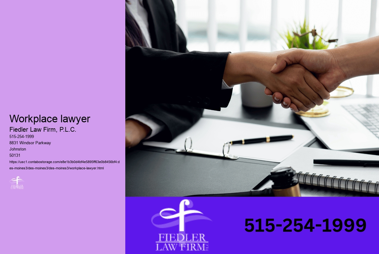 Workplace lawyer