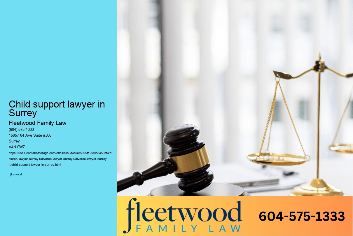 Child support lawyer in Surrey