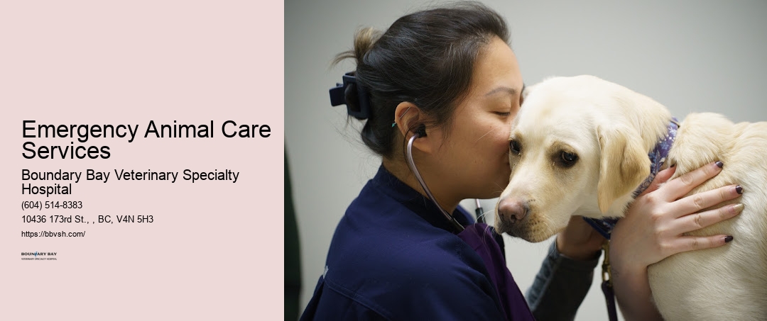 Emergency Animal Care Services Surrey