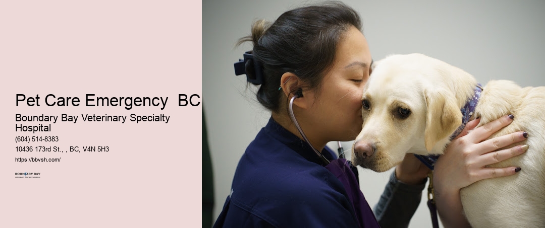 Pet Care Emergency Surrey BC